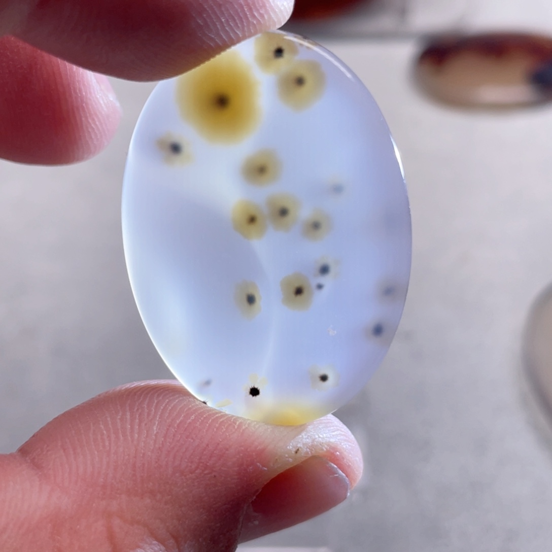 【闪购商品】玛瑙/玉髓颈饰合金