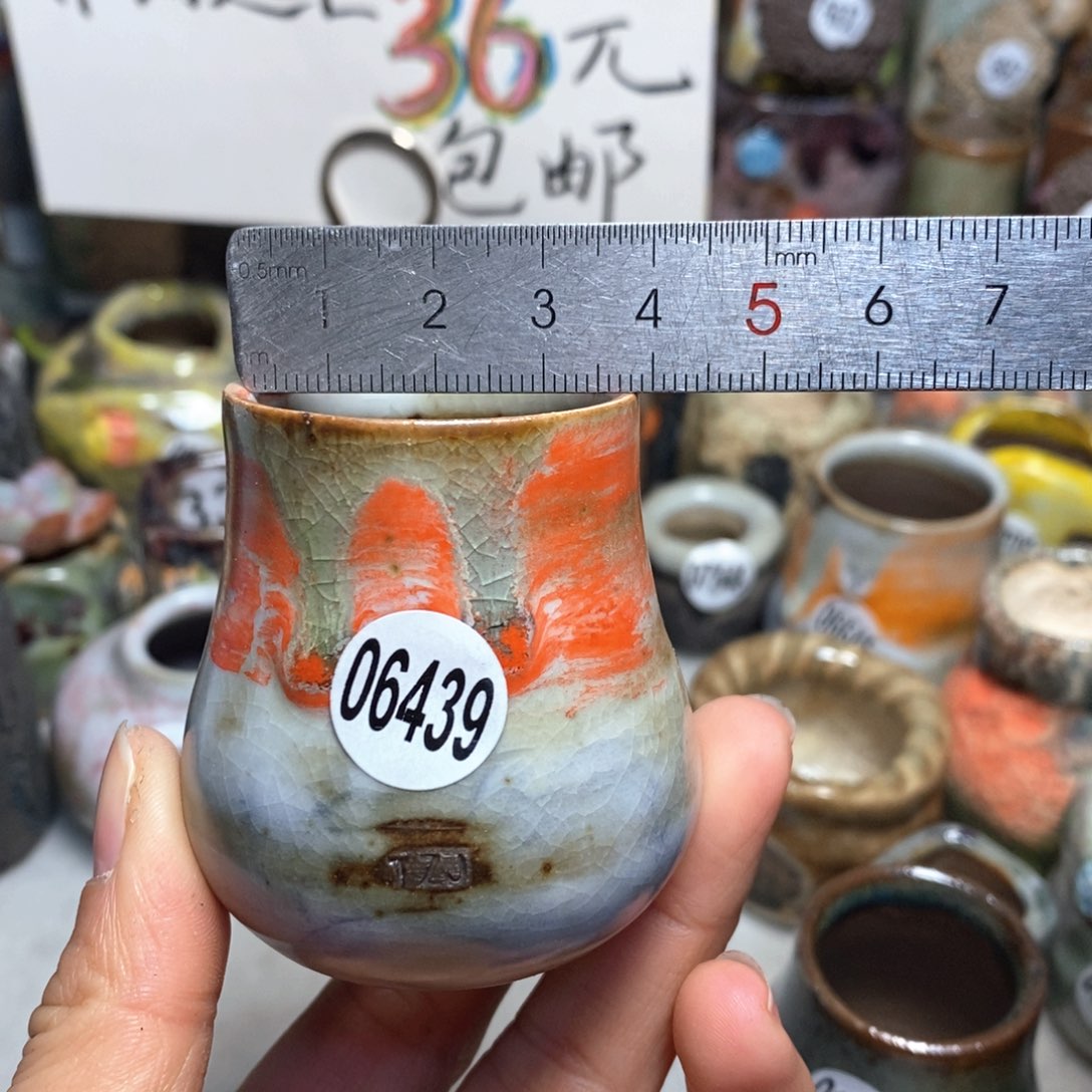 花盆拍5送一个小礼物