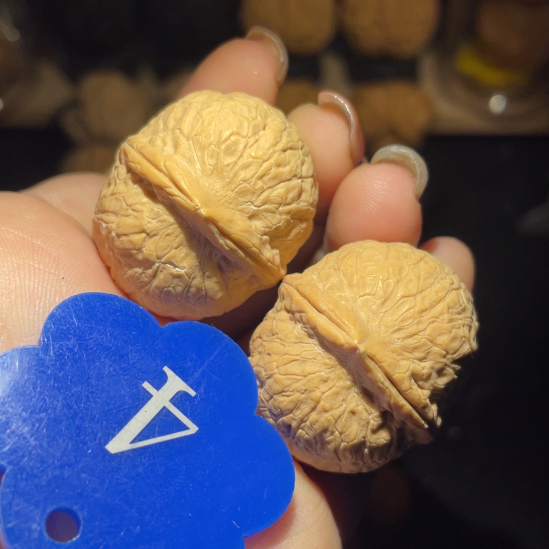 龙珠33尺寸核桃。   