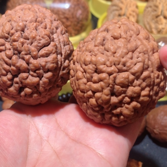 文玩核桃把件练手金刚菩提