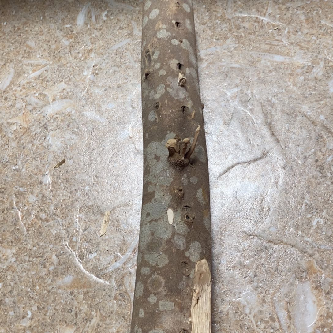 未***”香榧木手工艺非遗技艺竹木根雕及其制品克重：