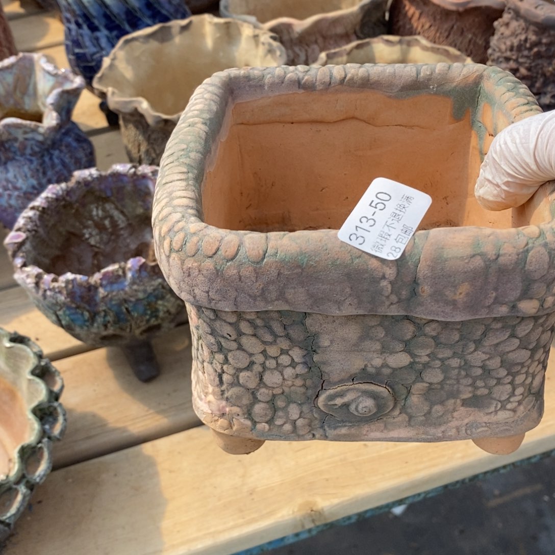 云**轻50号多肉盆一个