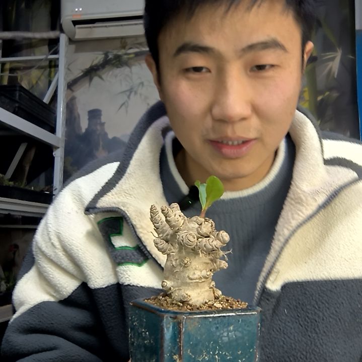 康***森中青园艺一物一拍花257