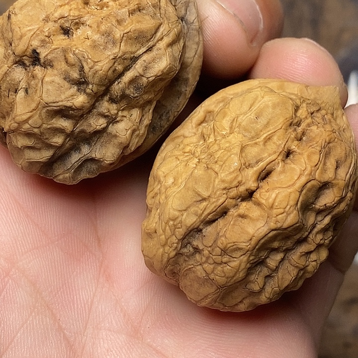 文玩核桃把件志成云铁文玩17