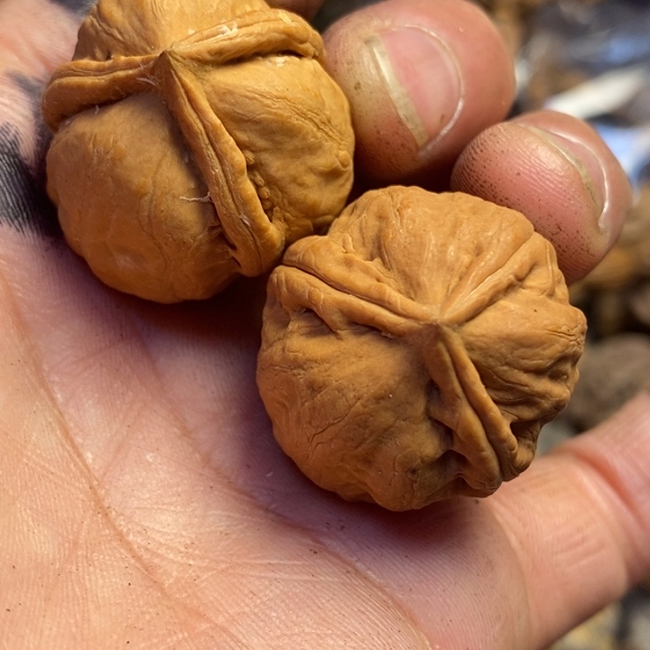 吊坠文玩核桃东北特产141