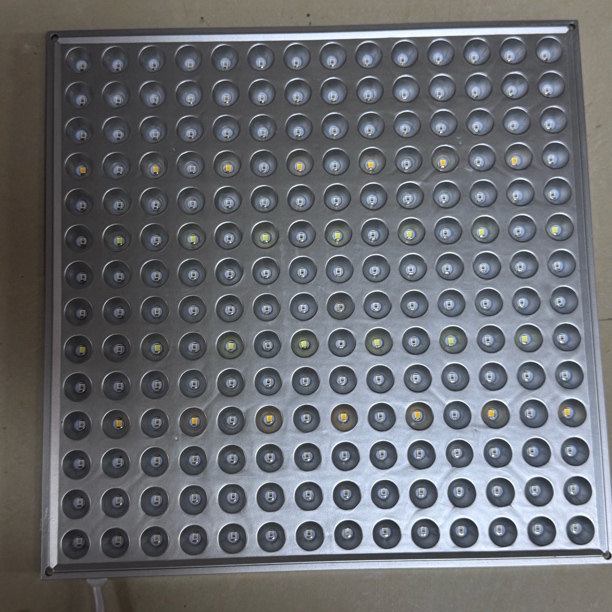 8新  植物光照灯/自行研究