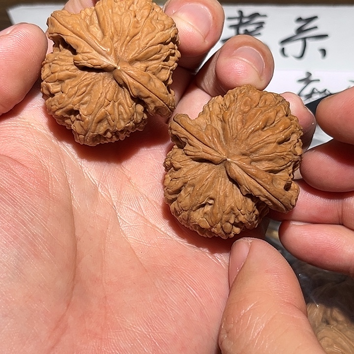 把件文玩核桃7. 40全白狮子