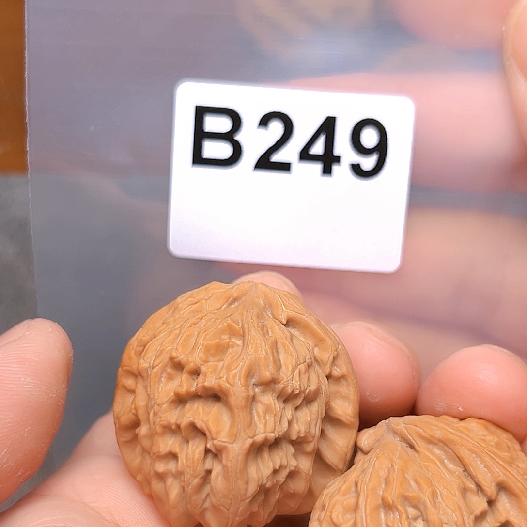 D***丶吊坠文玩核桃送白狮子