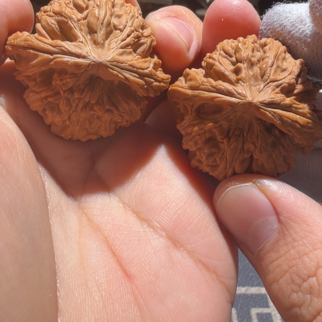 安***南文玩核桃把件玉华宫
