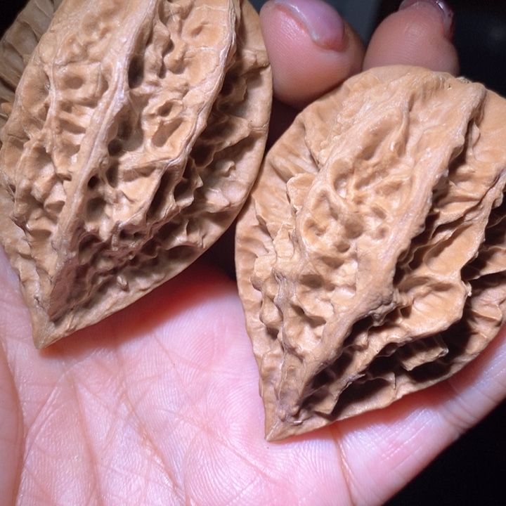 文玩核桃把件东北野生楸子小美42