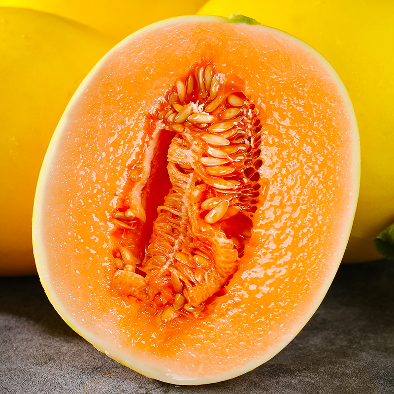 【甘肃产地直发】现摘民勤沙漠蜜瓜8-10斤黄河蜜甜瓜新鲜当季水果