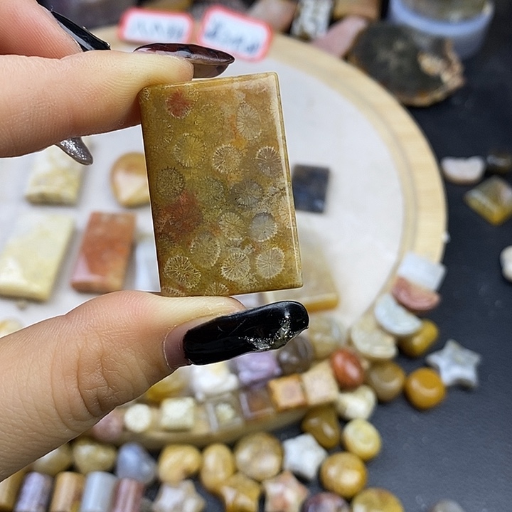 针钠钙石（海纹石）未镶嵌颈饰