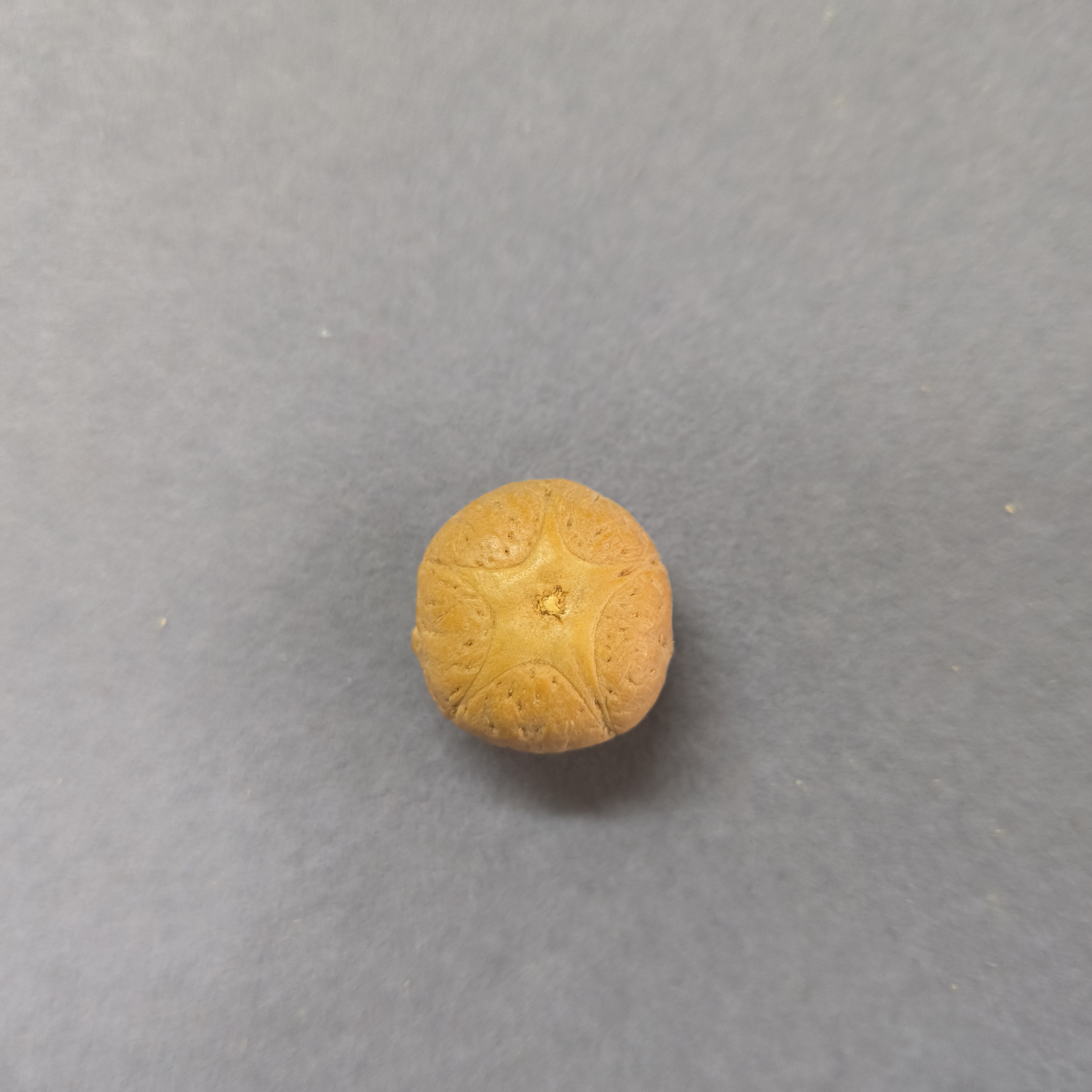 【WF520042】直径20.7mm厚15mm五星单颗尼泊尔凤眼菩提