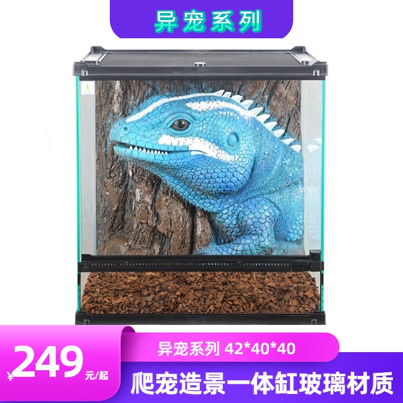 爬宠一体缸睫角守宫蜘蛛蛇专用造景缸200到500价位