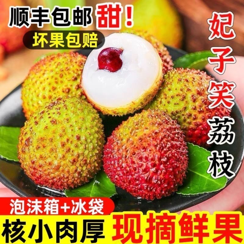 【明天到】正宗妃子笑荔枝新鲜水果今天拍明天到1-5斤荔枝同城送广东省