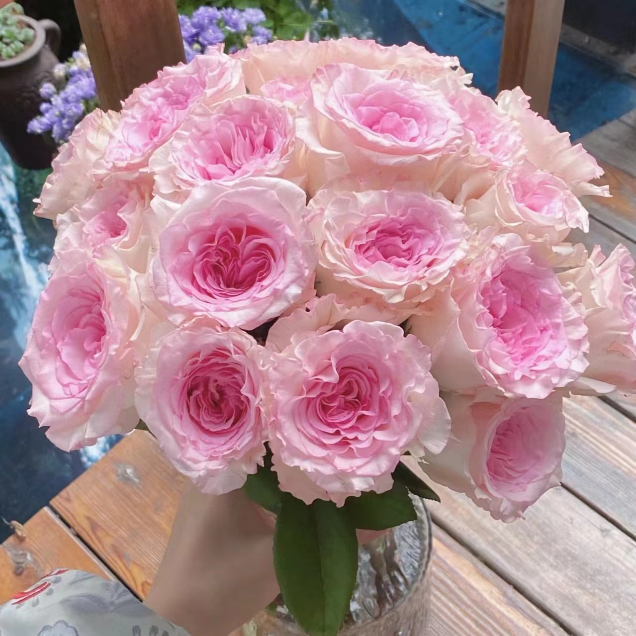 套餐8【洛神5枝+碎冰蓝5枝+香槟5枝+香水百合4-5朵+洋甘菊1把】