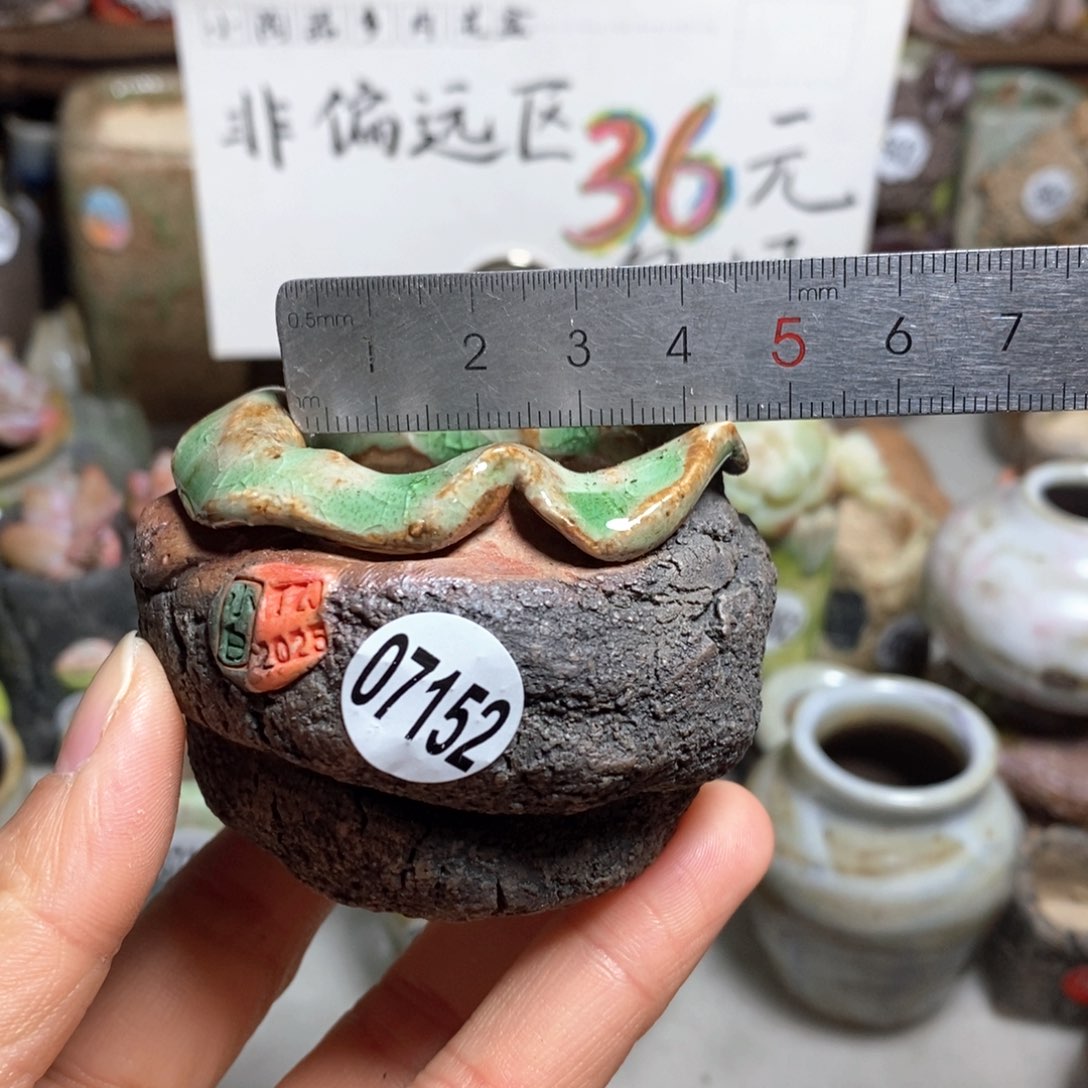 花盆拍3送一个小礼物