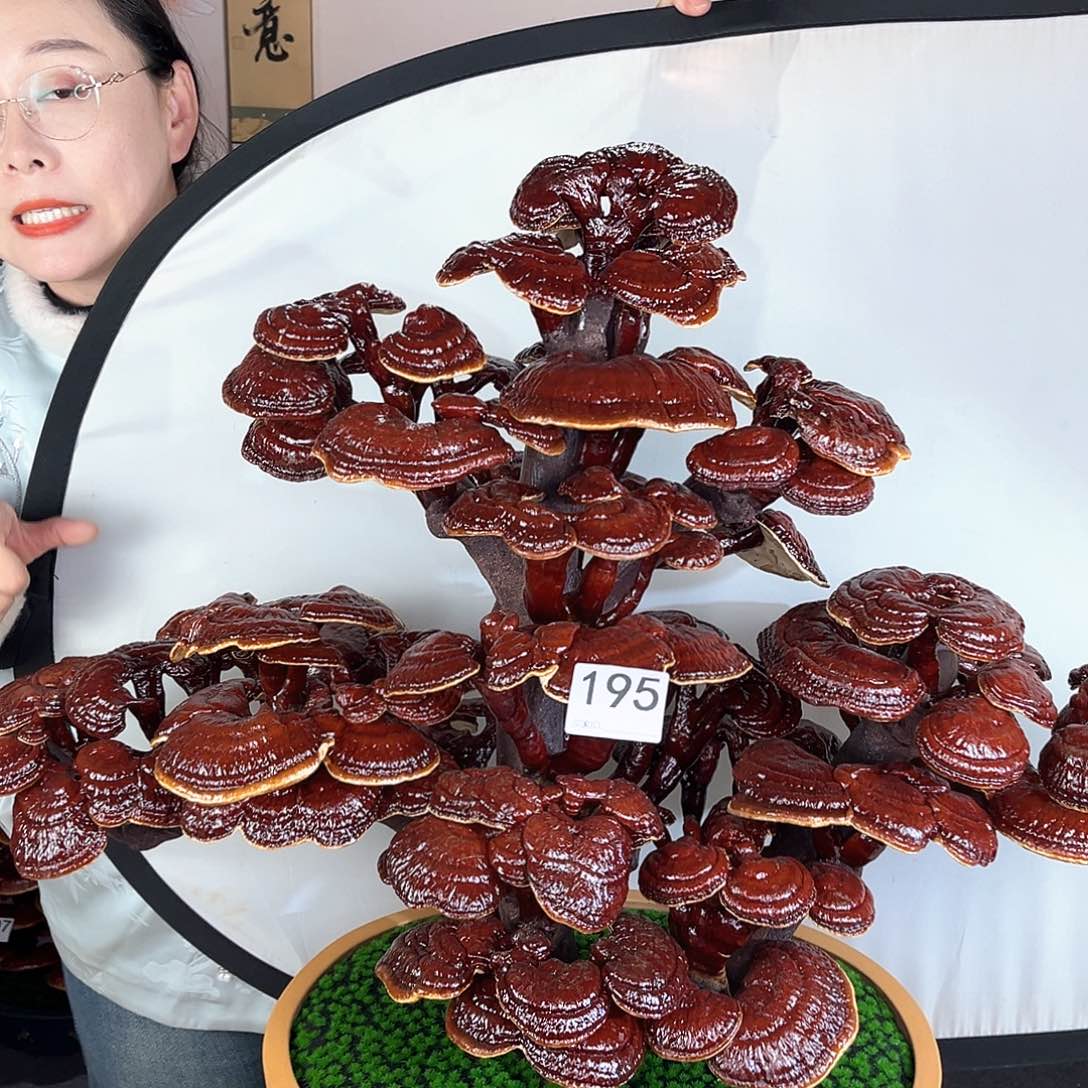 万事如意888888195