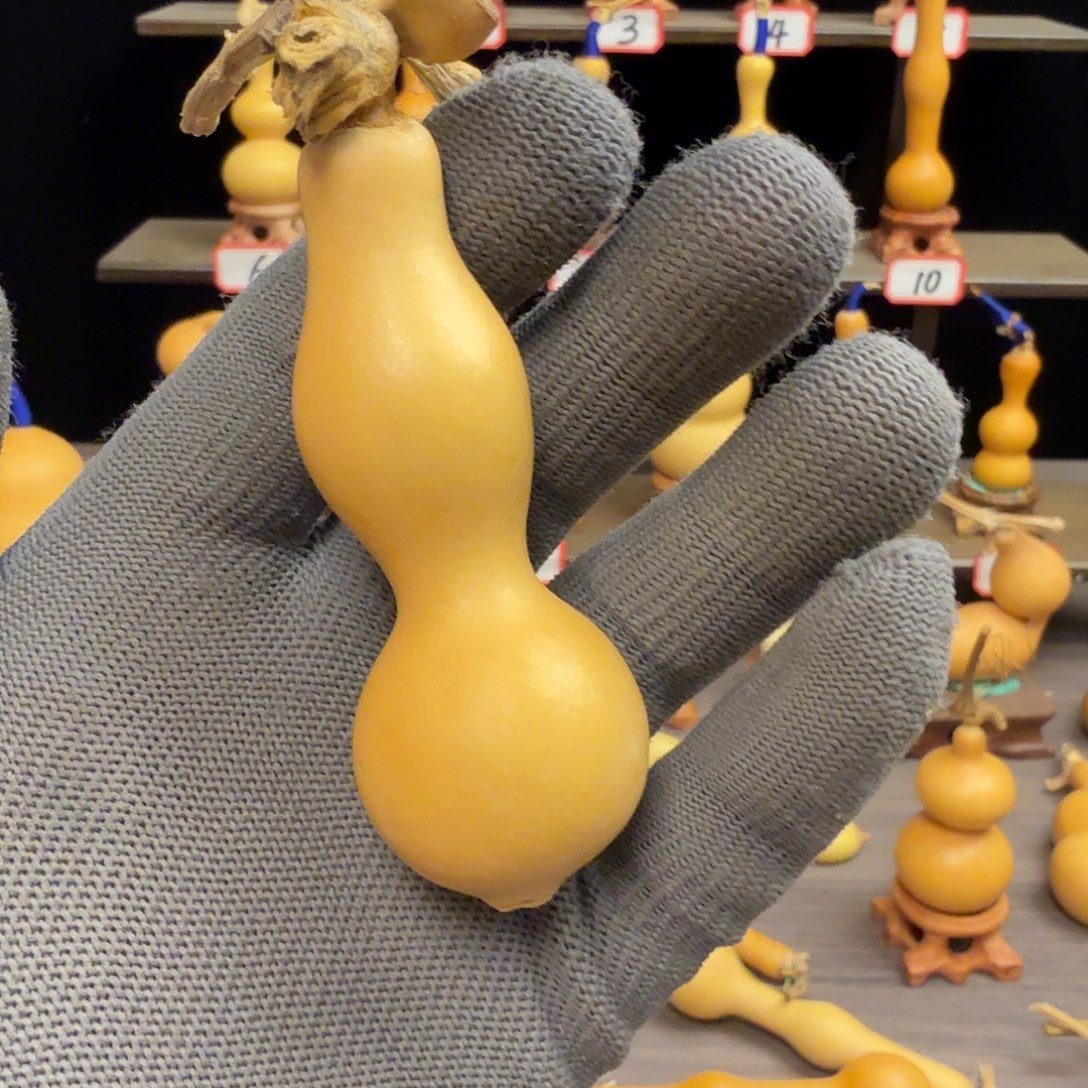 我***ꪝ木远扬工艺葫芦小号