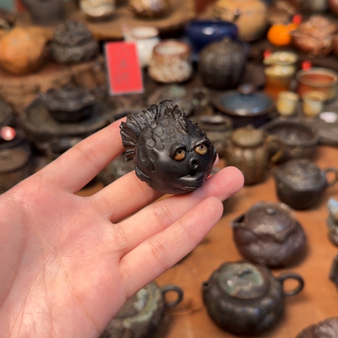 小丑鱼香插茶宠啊啊啊