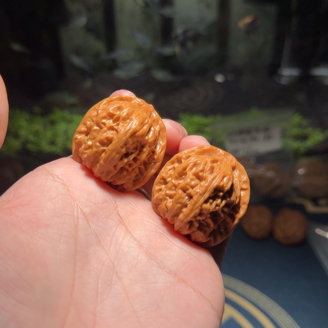 37胭脂野生文玩核桃