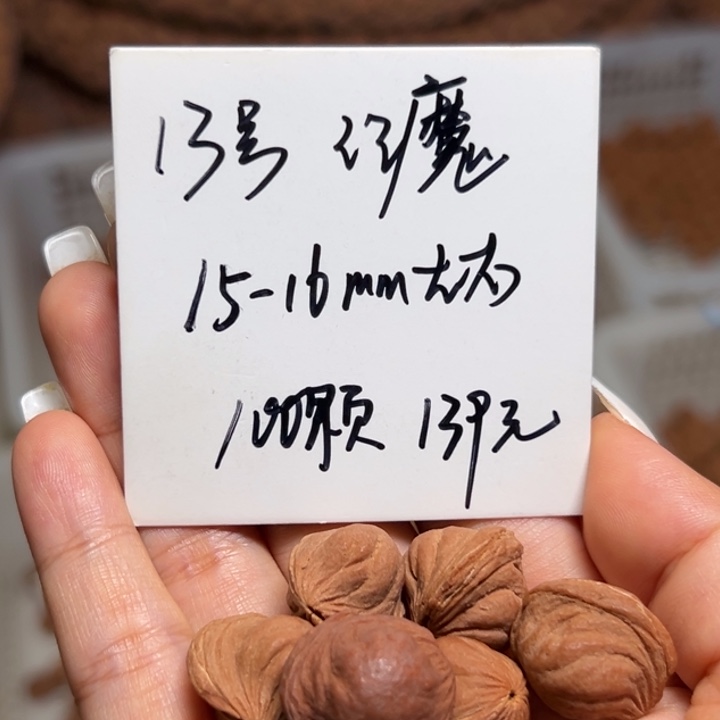 木质类雕刻料肚卡15-16 100颗