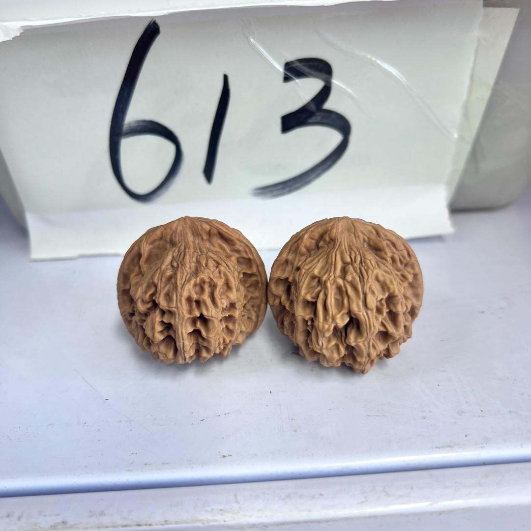 613 文玩核桃天地