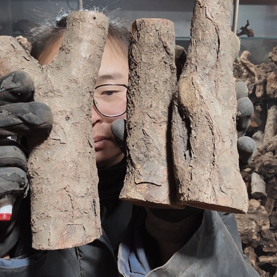 香榧木小****0火琉璃的毛料摆件