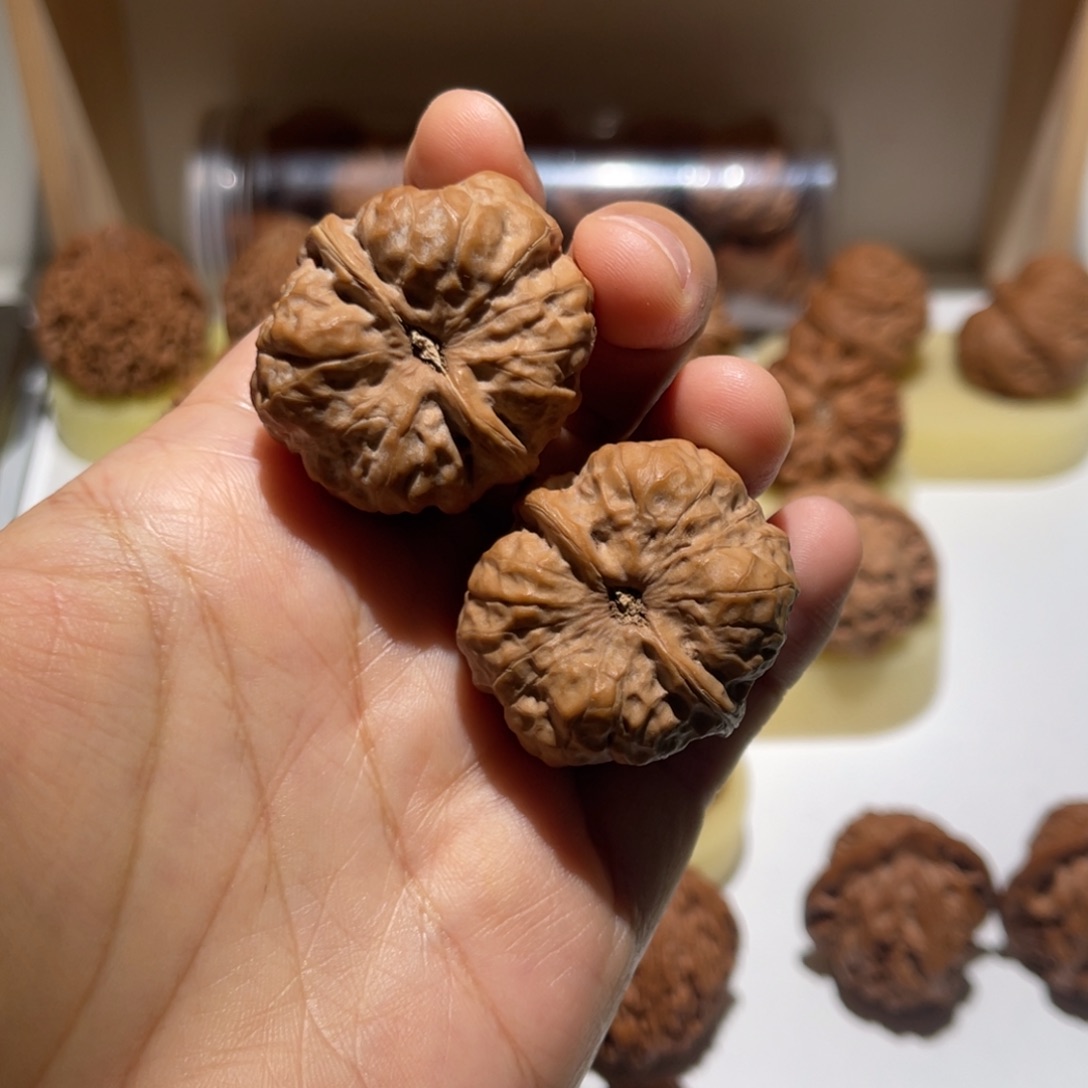 桃核把件33全品蛤蟆头