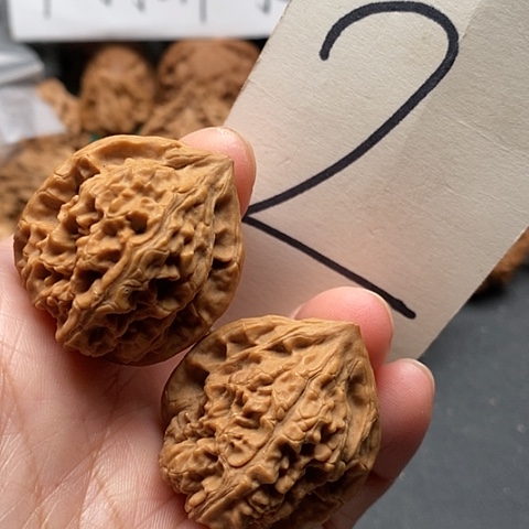 桃核吊坠33全品野生鸡心