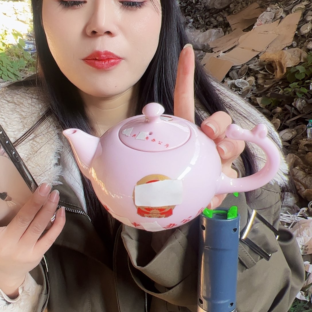 摆件陶景德镇红xixi徽章壶