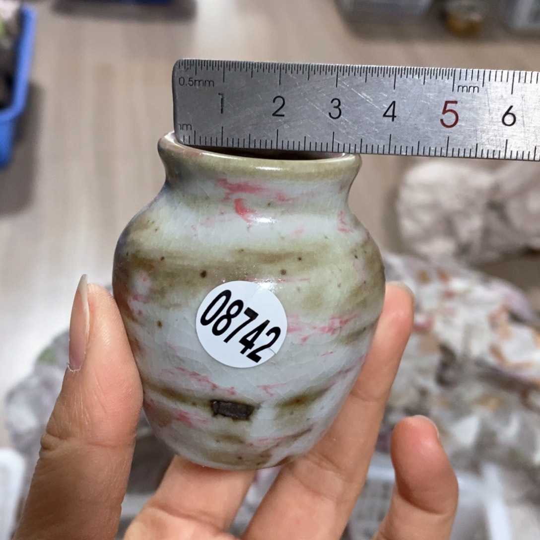 花盆拍3送一个小礼物