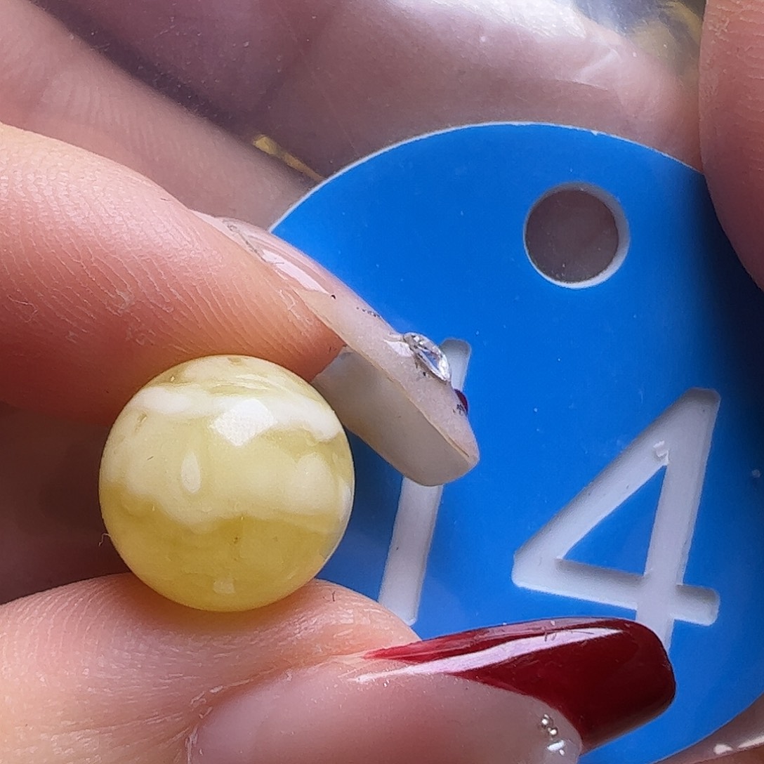 蜜蜡未镶嵌珠宝奇石11mm金瓷白圆珠