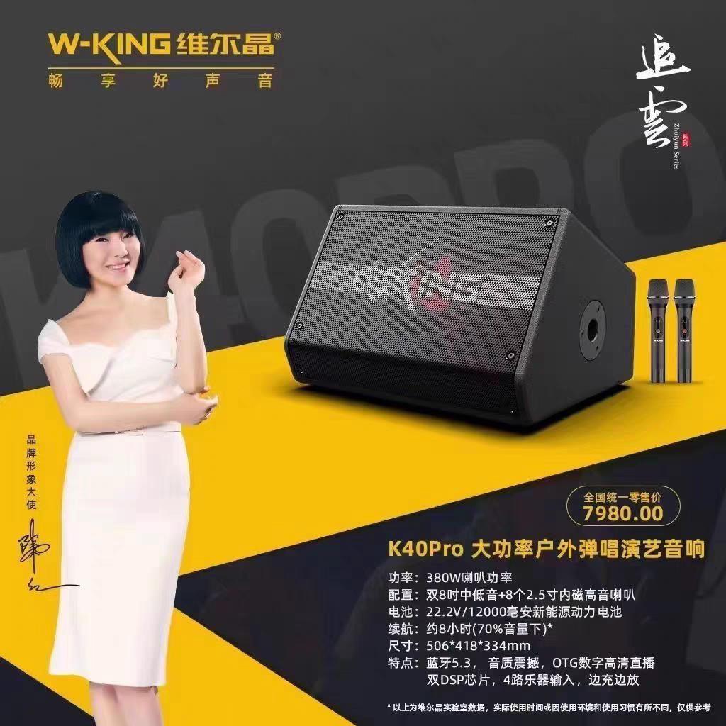 维尔晶K40PRO户外音响380W大功率便携式直播OTG数字直播内录