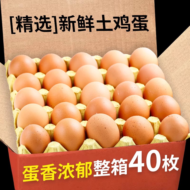 山东正宗土鸡蛋农家散养新鲜纯农村自养天然草鸡蛋笨鸡蛋40/50枚