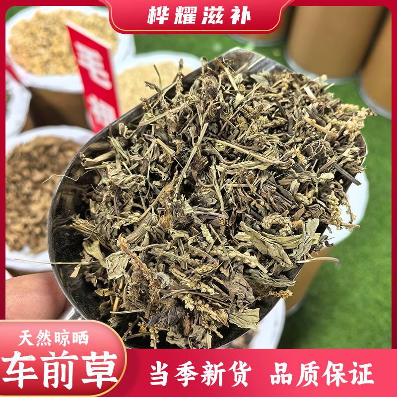 桦耀本草【车前草】高品质中药材车前草  车前草泡茶煮水 车前草