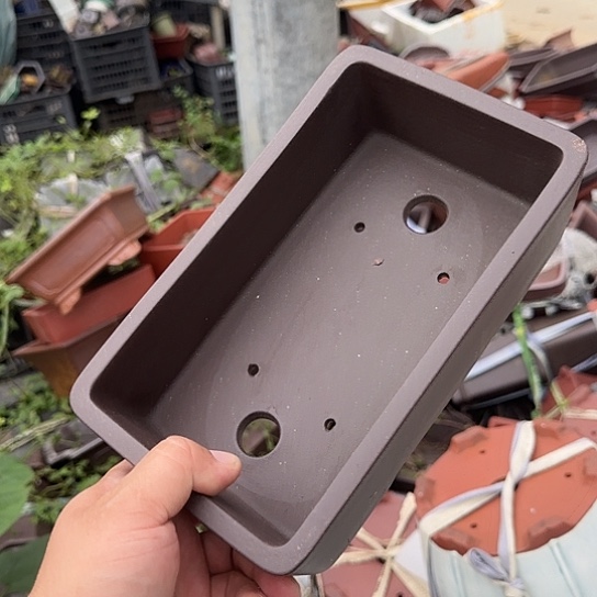 是一个不知名作家与著名导演兼电影演员