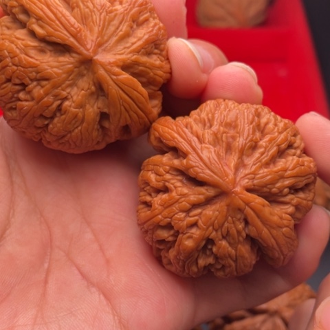 文玩核桃把件秦岭山脉核桃