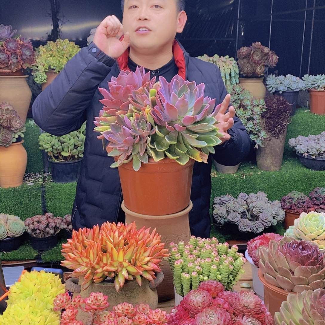 超大琼斯特价福利