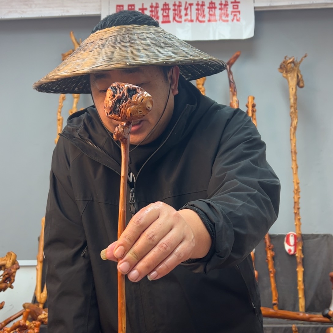 黑果木其他江***傅黑果木722