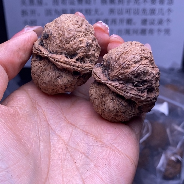 核桃云南野生铁核桃195号43mm