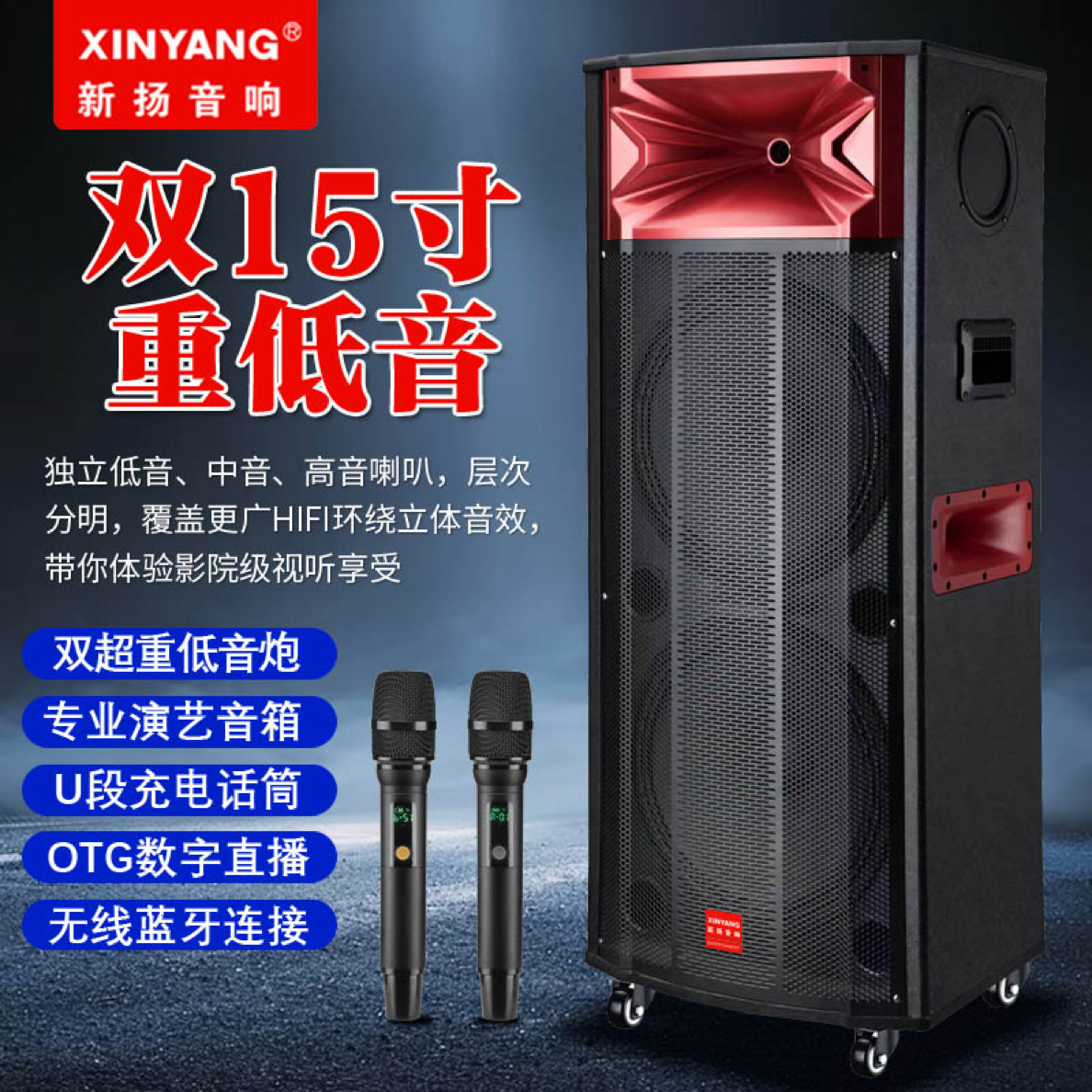 XINYANG新扬双15寸重低音户外广场舞台婚庆娱乐K歌蓝牙大功率音箱