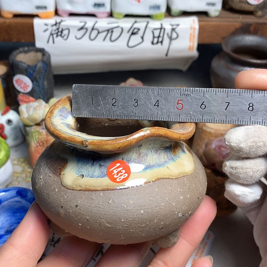 红陶拍5送一个小