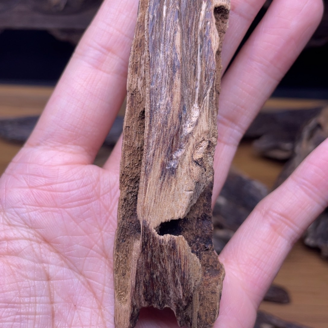 香榧木海南临高黑油虫漏7.3克