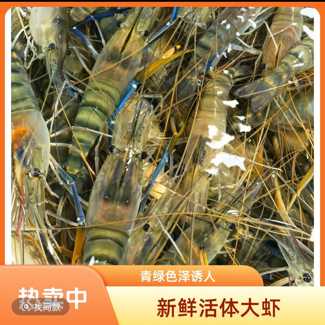 [鲜活]罗氏虾1斤装/充氧活发(保鲜不保活)/单拍2斤起送(免费配送8公里)