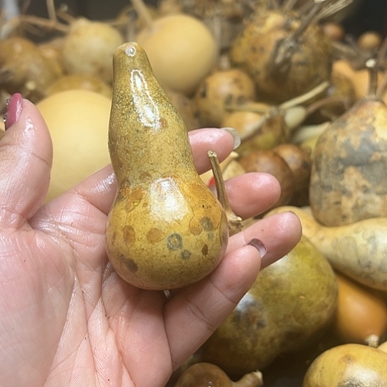 顺**为葫芦葫芦葫芦路葫芦