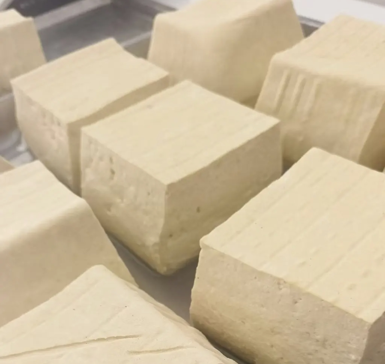 榆树特产手工卤水鲜大豆腐2斤4斤包邮 嫩豆腐