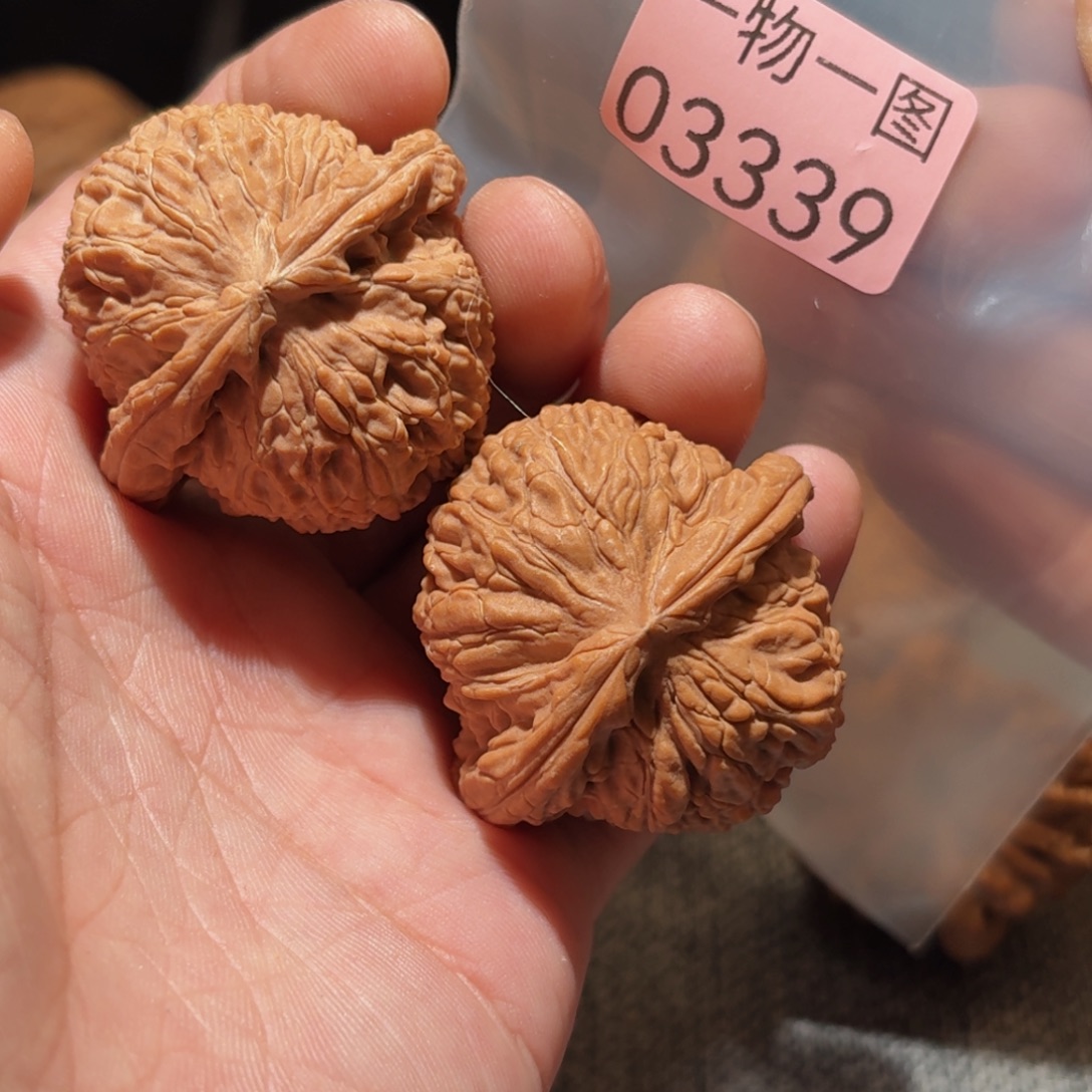 文玩核桃把件白狮子