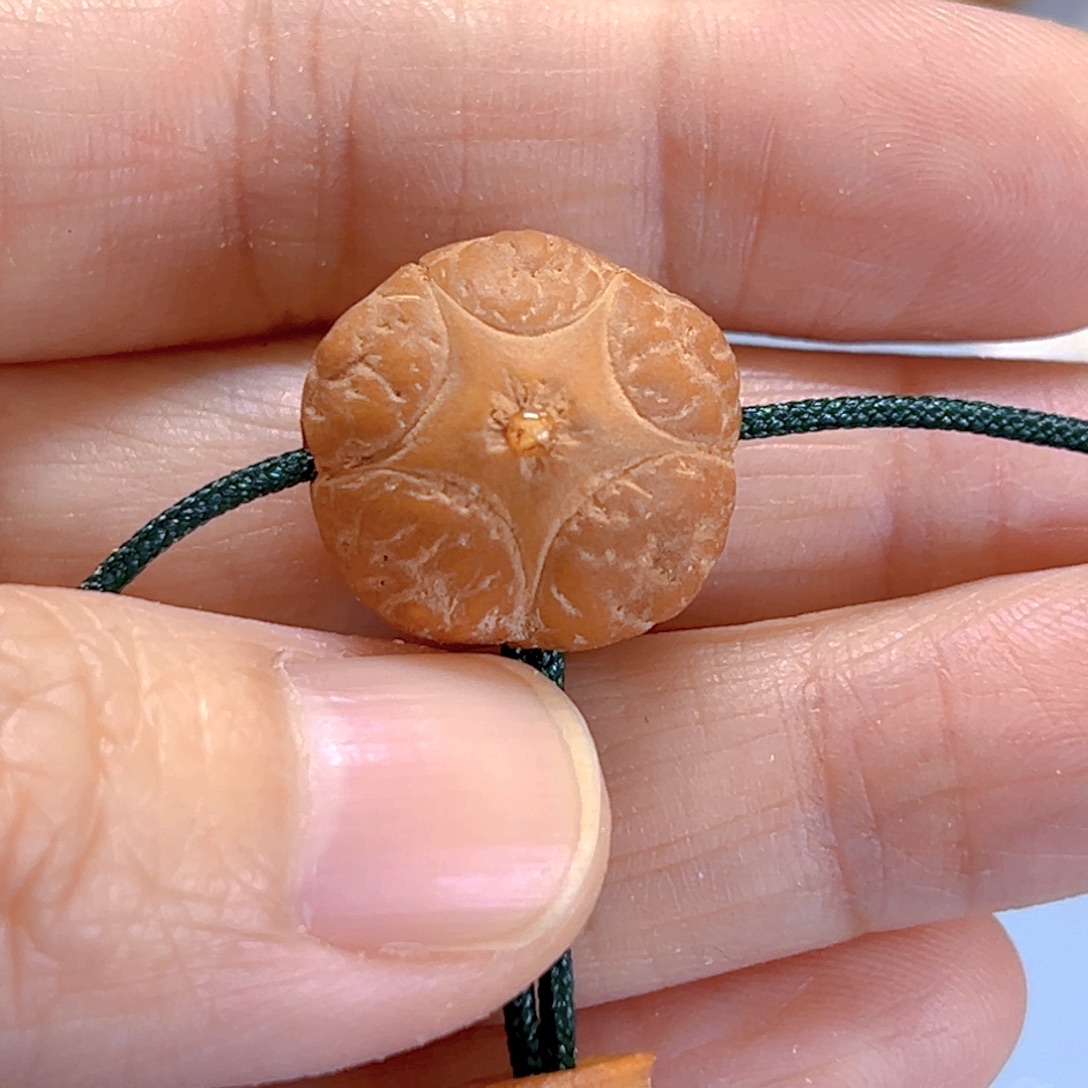 沈***生凤眼菩提吊坠19新籽五星开播福利81@9672