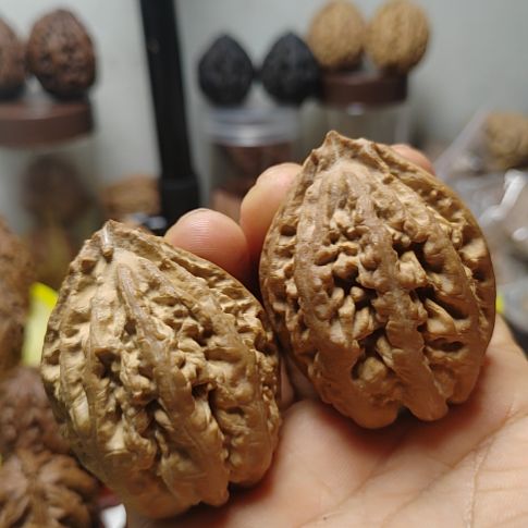 文玩核桃把件@*@东北野生大楸子五指山